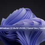 Windows 11 Build 25193