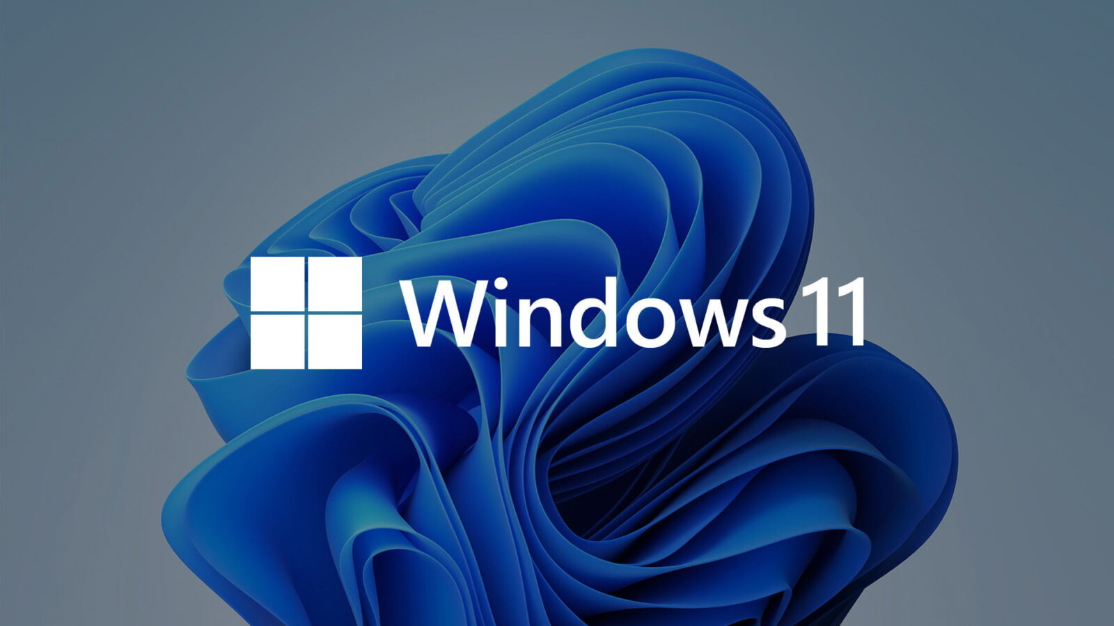 Windows 11 Build 25201