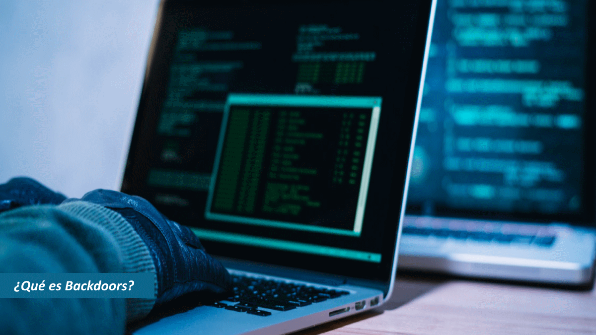¿Qué es Backdoors?