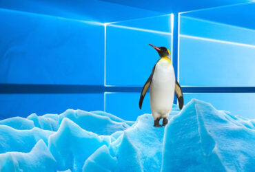 ¿Es mejor jugar en Windows o en Linux?