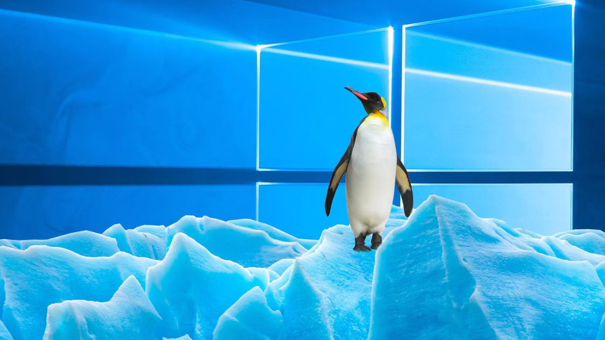 ¿Es mejor jugar en Windows o en Linux?
