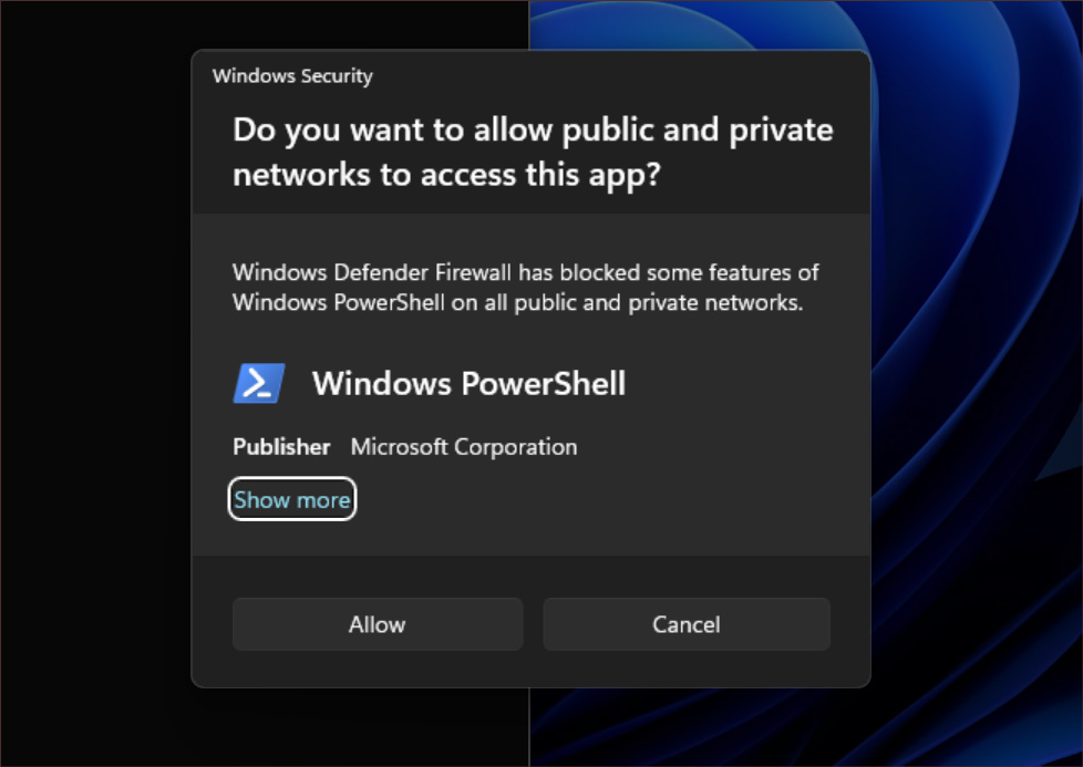 Windows 11 Build 25267