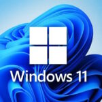 Windows 11 Build 25295