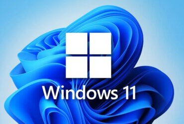 Windows 11 Build 25295