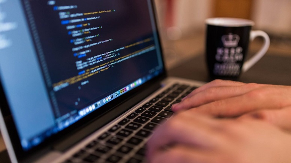 ¿Qué es un programador Junior?