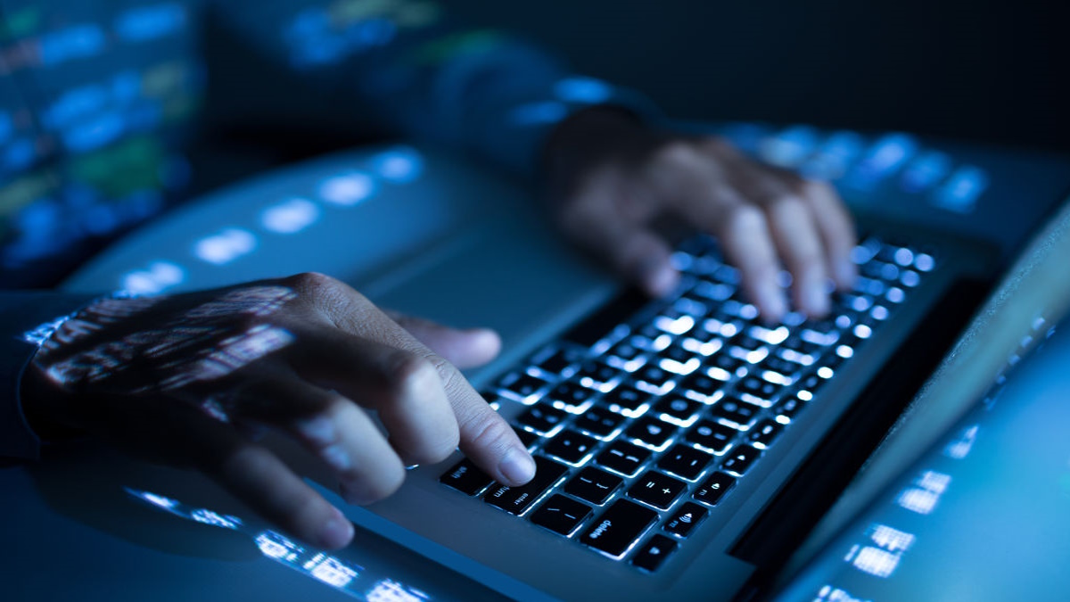 ¿Qué es un programador Junior?