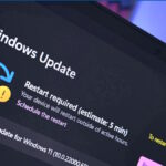 Windows 11 Build 22621.1465 y 22624.1465