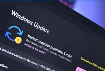 Windows 11 Build 22621.1465 y 22624.1465