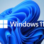 Problemas en Windows 11 Build 25336