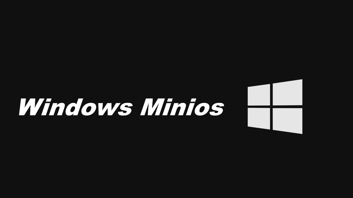 ¿Qué es Windows Minios?