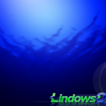 ¿Qué fue de Lindows?