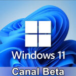 Windows 11 KB5028251