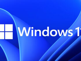 Nueva Política de Windows 11