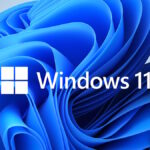 Nueva característica llega a la barra de búsqueda de Windows 11