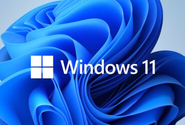 Nueva característica llega a la barra de búsqueda de Windows 11