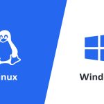 Actualización de Windows WSL