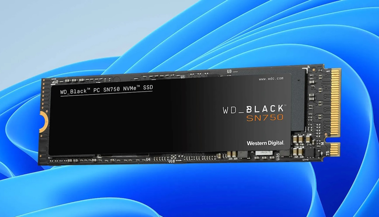 Cómo Impedir el Cifrado Automático de Discos en Windows 11