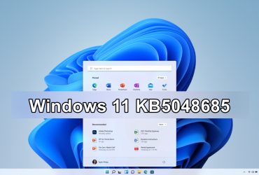 Errores de Windows 11 KB5048685