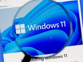 Actualización KB5050009 y KB5050021 para Windows 11